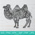 Coloring Mandala Camel  SVG - Dromedaries  SVG -Mandala SVG