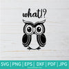 What SVG - Owl Quote SVG - Owl SVG - Angry Owl SVG - Newmody