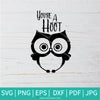 You're A Hoot SVG - Owl Svg - Cute Owl SVG - Newmody