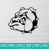 Bulldog SVG - basketball Svg - English bulldog SVG - Newmody