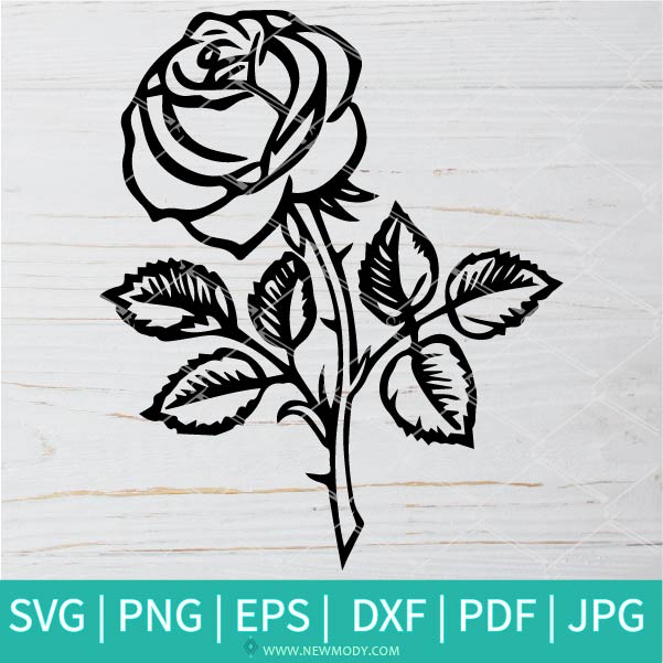 Rose Svg Silhouette Flower Cricut Clipart Png Stencil